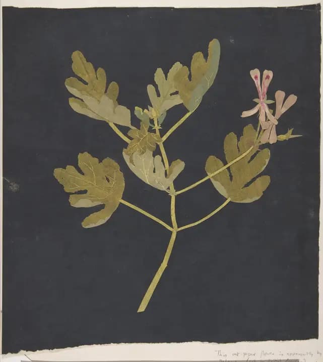 Paper cut-out of a leafy branch on black