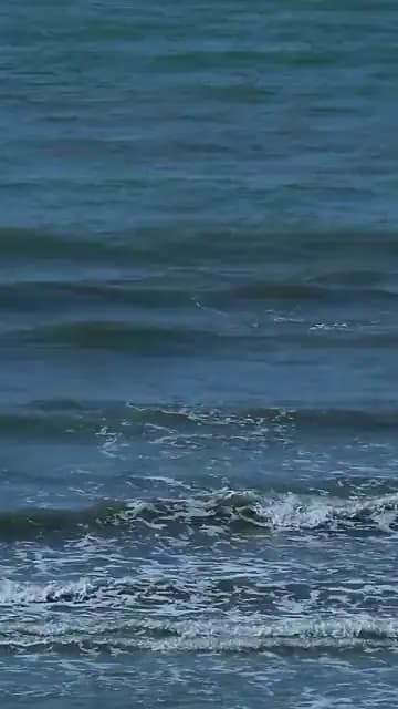 Waves coming in on a grey-blue sea